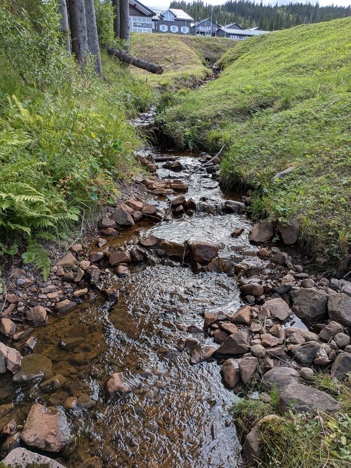 En liten bäck som rinner nedför en fjällsluttning